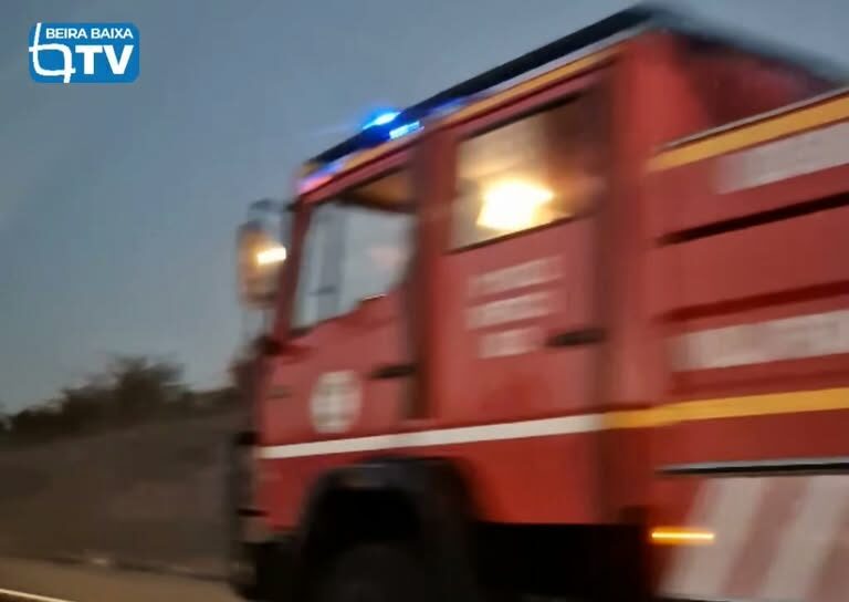 Foi vista uma coluna de meios na A1 que se dirige para os fogos em Proença-a-Nov