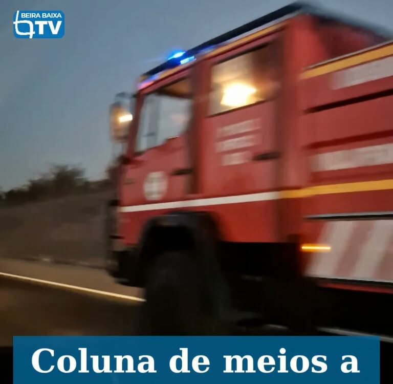 Foi vista uma coluna de meios na A1 que se dirige para os fogos em Proença-a-Nov