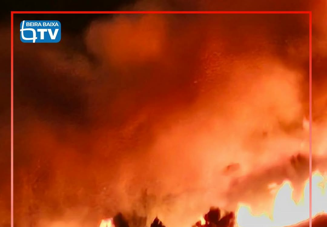 Incêndio rural mobiliza meios de combate no concelho da Guarda