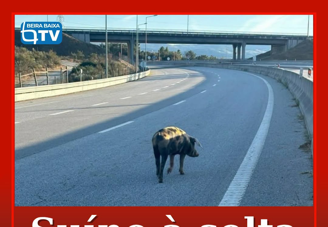 Na tarde desta terça feira, 23 de setembro