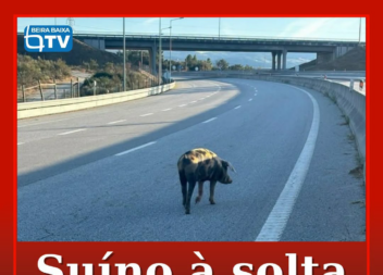 Na tarde desta terça feira, 23 de setembro