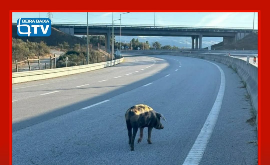 Na tarde desta terça feira, 23 de setembro