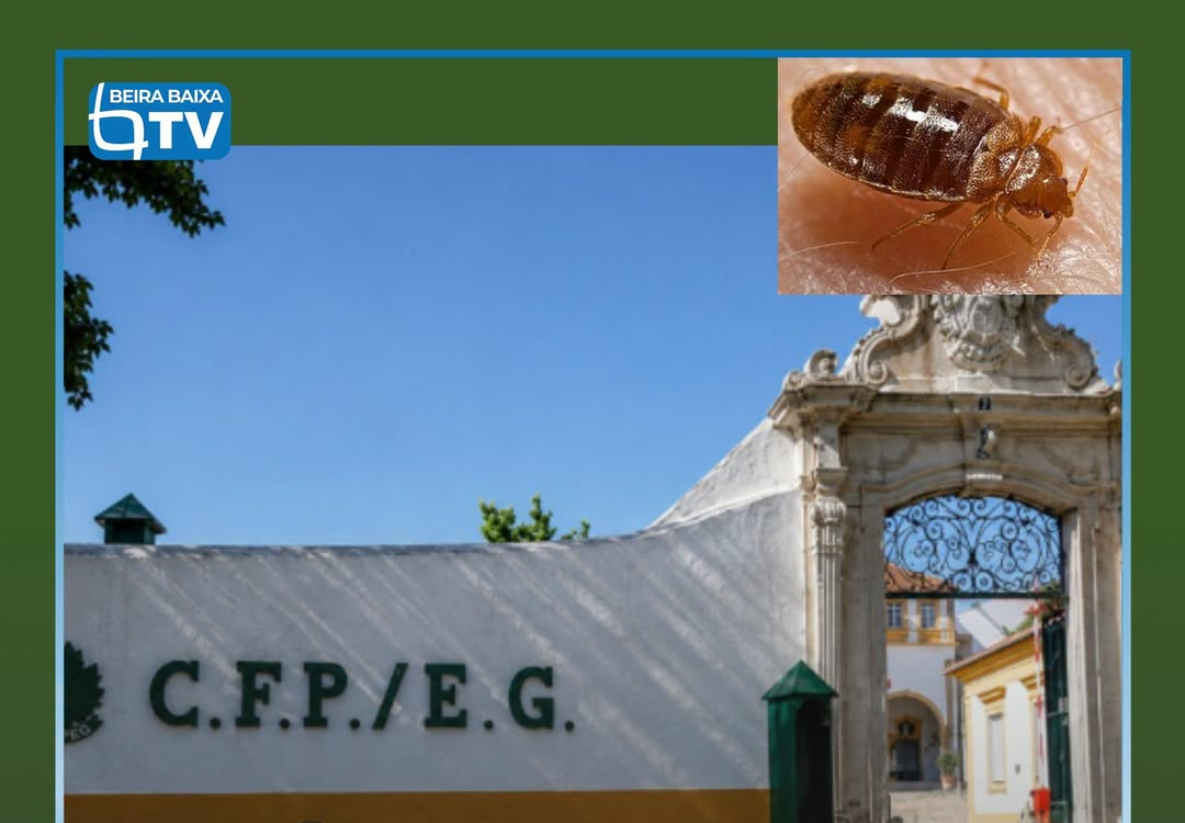O Curso de Formação de Guardas da GNR, que decorria em Portalegre