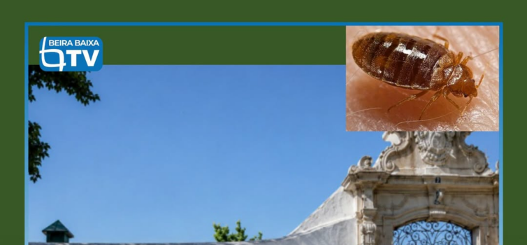 O Curso de Formação de Guardas da GNR, que decorria em Portalegre