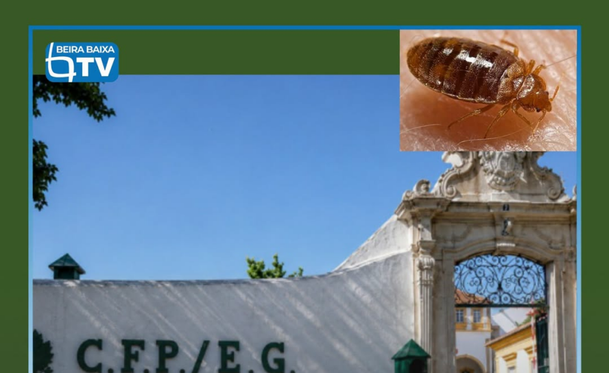 O Curso de Formação de Guardas da GNR, que decorria em Portalegre