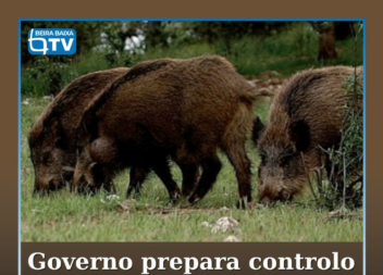 O Governo vai avançar, durante a época de caça de outubro