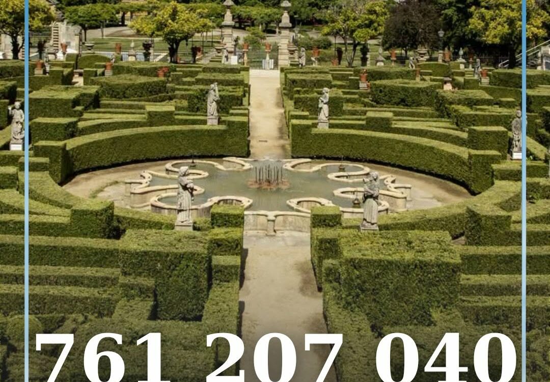 O Jardim do Paço Episcopal de Castelo Branco alcançou a Meia-Final Nacional da e
