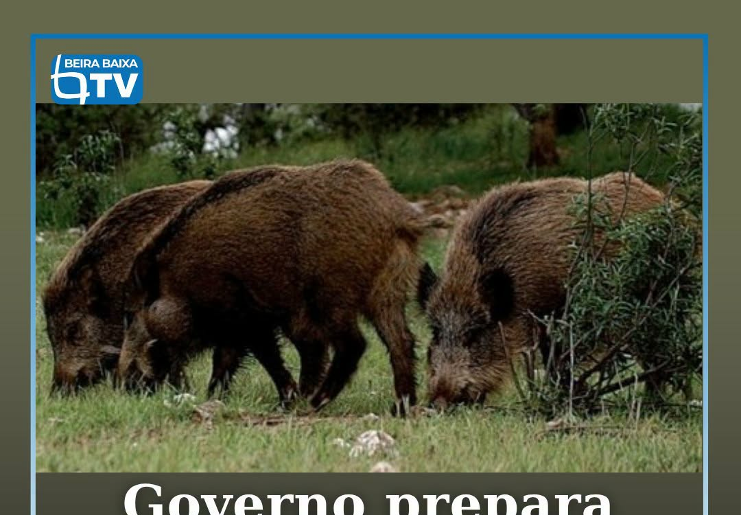 O Ministério da Agricultura e Mar está a preparar um projeto-piloto que prevê o