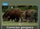 O Ministério da Agricultura e Mar está a preparar um projeto-piloto que prevê o