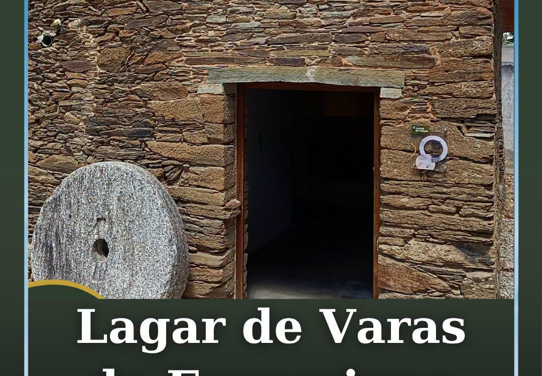 O Município de Vila Velha de Ródão realiza, esta quinta feira