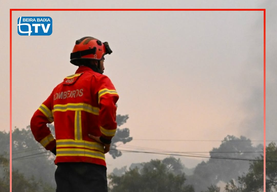 O incêndio em Alvito da Beira, no concelho de Proença-a-Nova