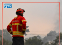 O incêndio em Alvito da Beira, no concelho de Proença-a-Nova