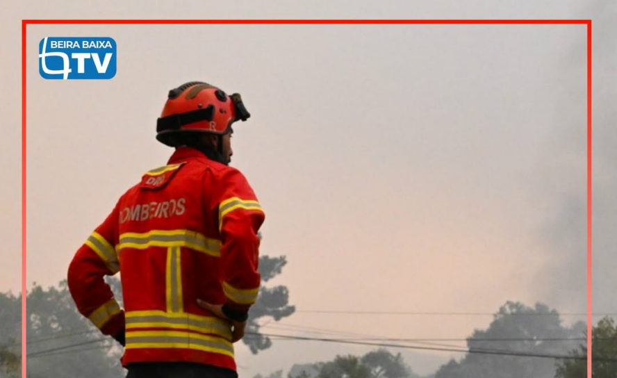 O incêndio em Alvito da Beira, no concelho de Proença-a-Nova