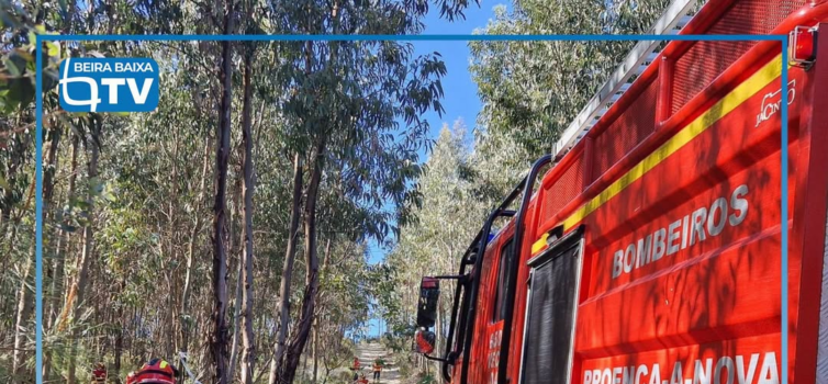 O incêndio que deflagrou cerca das 19:30 de segunda-feira, em Atalaia