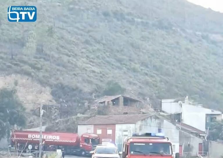 O incêndio que deflagrou em zona de floresta em Alvito da Beira