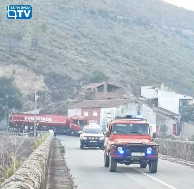 O incêndio que deflagrou em zona de floresta em Alvito da Beira