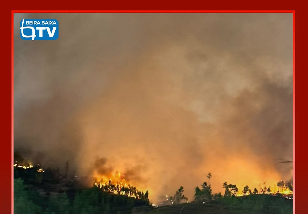 Os incêndios que deflagraram ontem, 14 de setembro