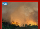 Os incêndios que deflagraram ontem, 14 de setembro