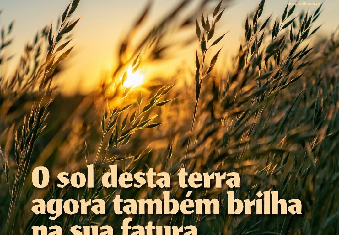 E se a energia solar produzida e armazenada ao lado de casa pudesse beneficiar a comunidade?