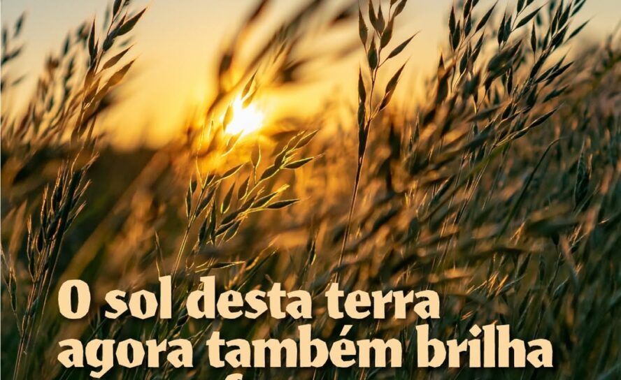 E se a energia solar produzida e armazenada ao lado de casa pudesse beneficiar a comunidade?