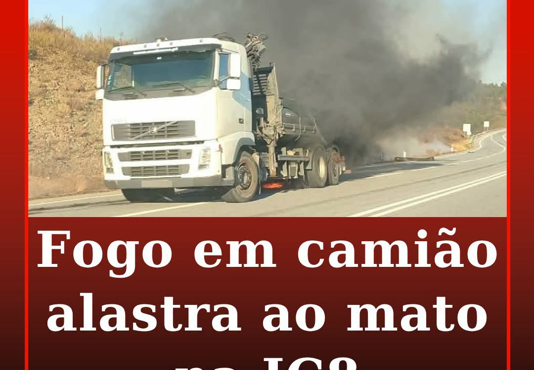 Um incêndio nas rodas de um camião alastrou ao mato, na tarde desta terça-feira,
