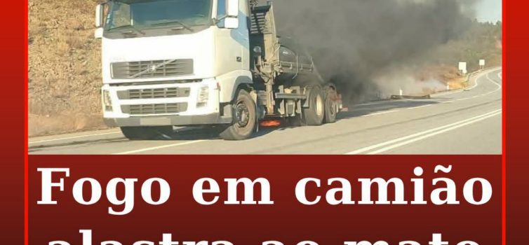 Um incêndio nas rodas de um camião alastrou ao mato, na tarde desta terça-feira,