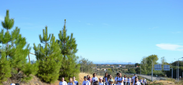 Castelo Branco