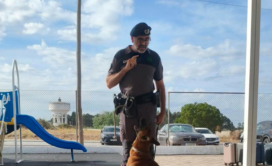 A Equipa Cinotécnica da GNR de Castelo Branco visitou, no dia 2 de outubro
