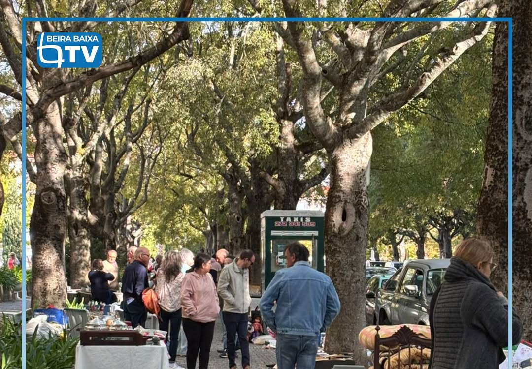 A Feira Mensal de Colecionismo