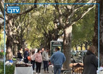 A Feira Mensal de Colecionismo