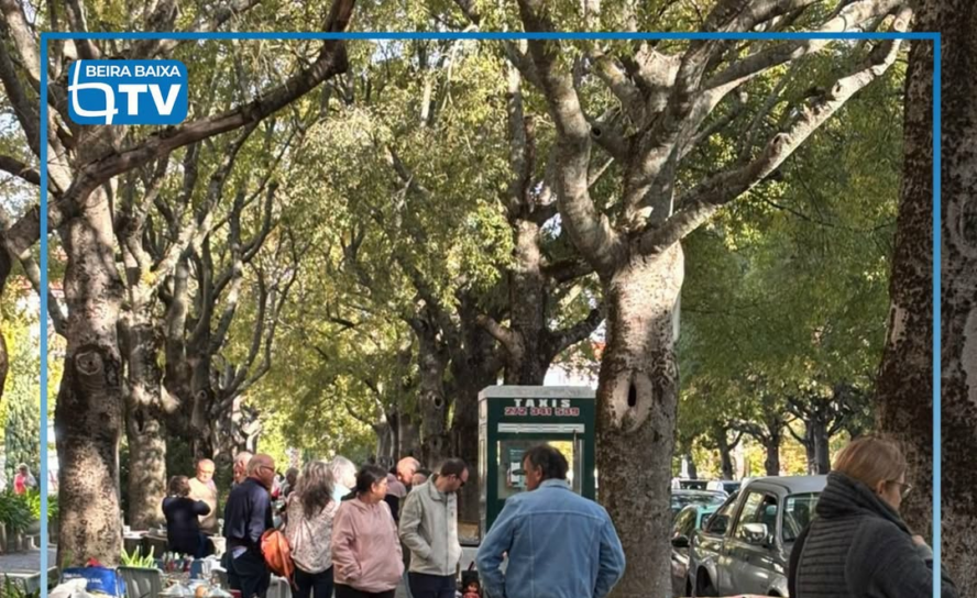 A Feira Mensal de Colecionismo
