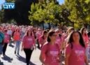 A caminhada \u201cPequenos Passos
