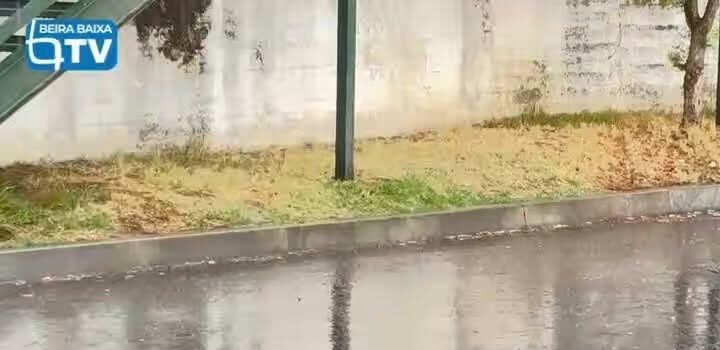 A chuva já começou a cair em Castelo Branco