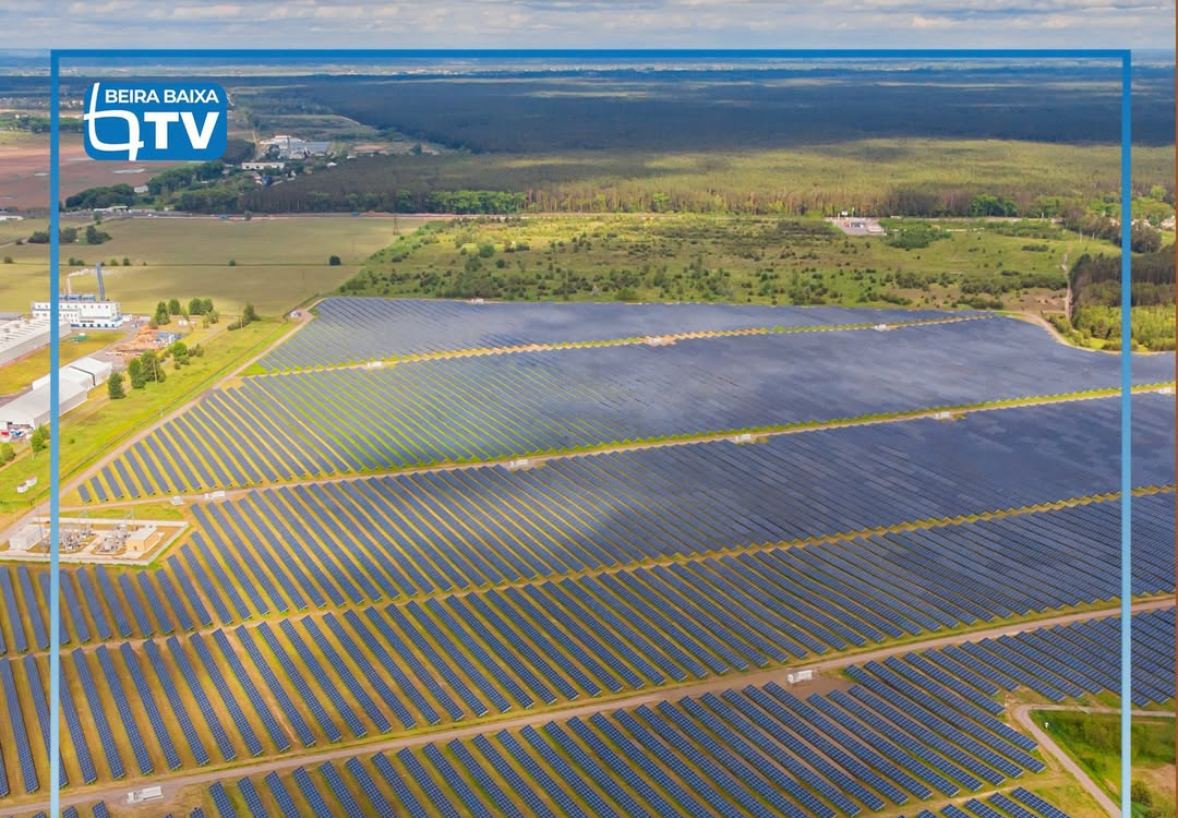 A multinacional britânica promotora da central solar fotovoltaica Sophia promove