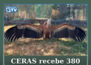 Cerca de 1.180 animais selvagens foram recebidos no primeiro semestre do ano nos