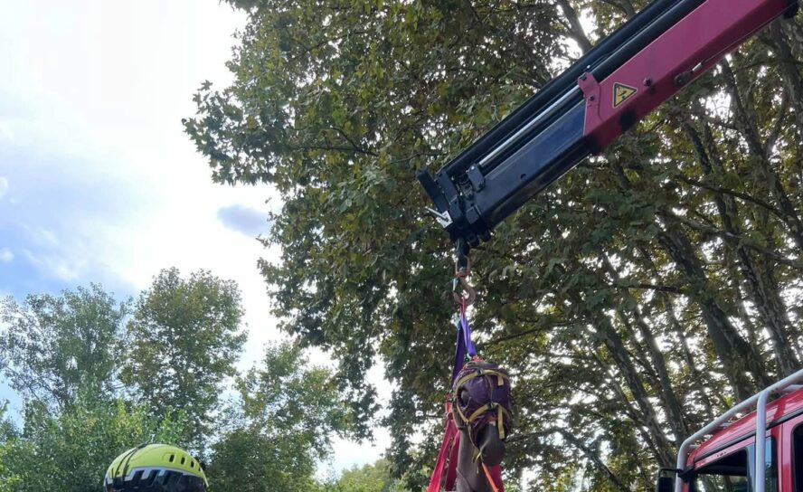 Dois elementos dos Bombeiros Voluntários de Vila Velha de Ródão participaram