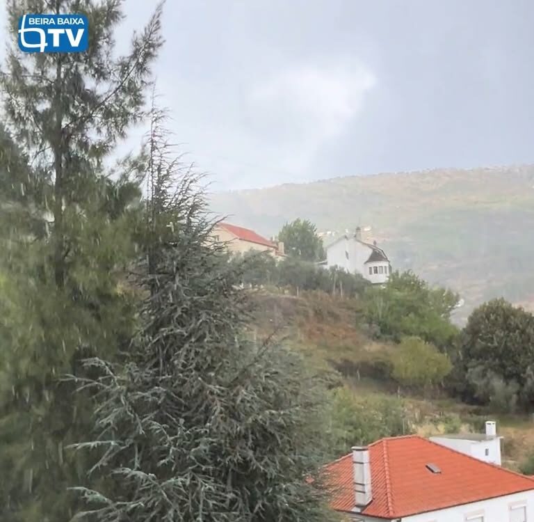 Imagens: Seguidor BBTV
