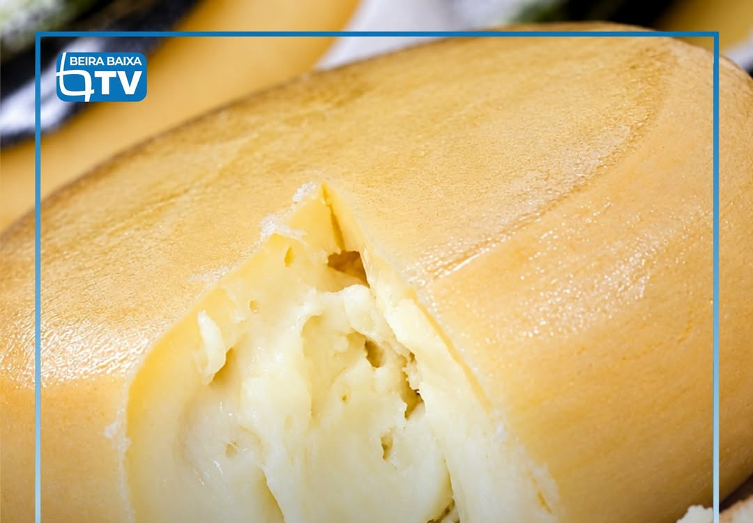 O Programa de Valorização da Fileira do Queijo da Região Centro