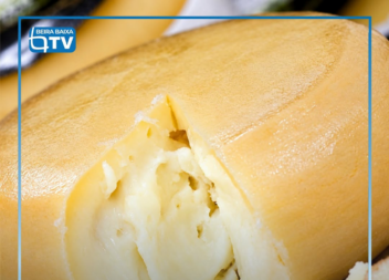 O Programa de Valorização da Fileira do Queijo da Região Centro