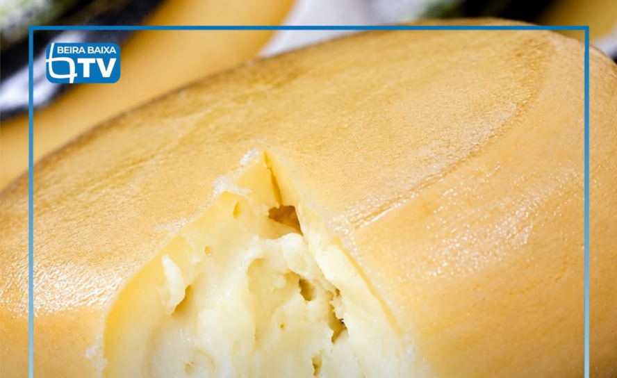 O Programa de Valorização da Fileira do Queijo da Região Centro