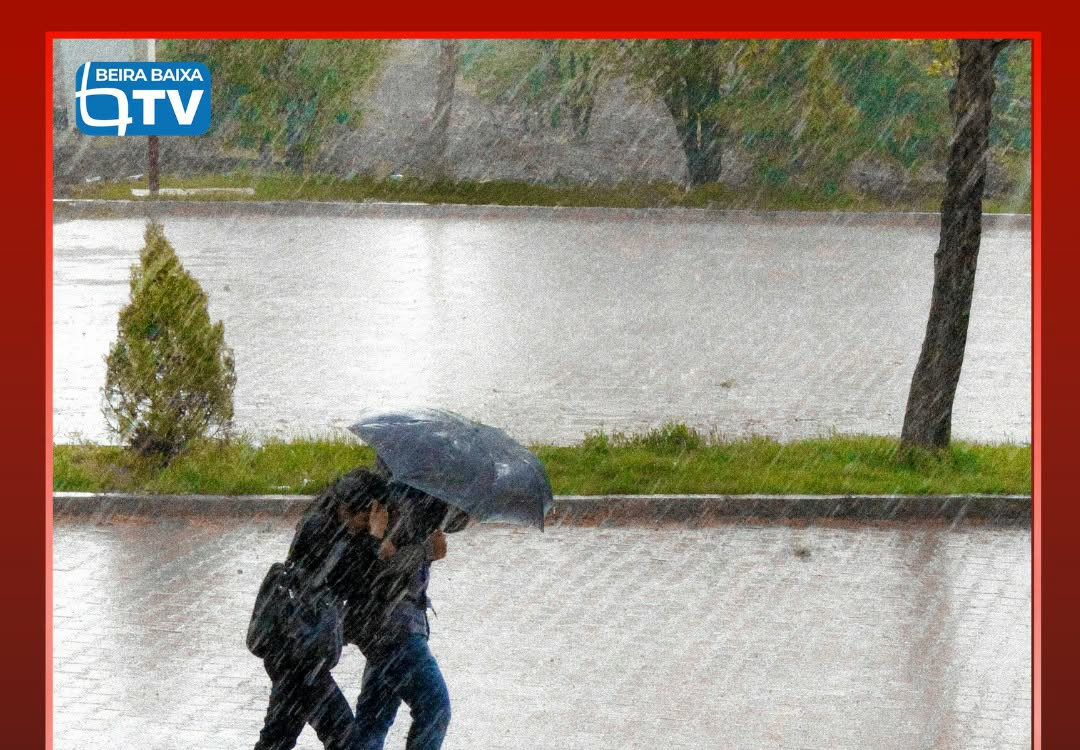 O distrito de Castelo Branco está sob aviso amarelo para este sábado