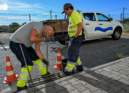 Os Serviços Municipalizados de Castelo Branco encontram-se  a reforçar a limpeza