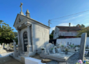 Os trabalhos de corte dos cedros de grande porte no Cemitério de Pêro Viseu