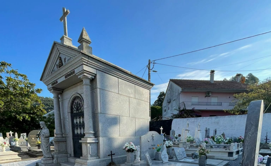 Os trabalhos de corte dos cedros de grande porte no Cemitério de Pêro Viseu