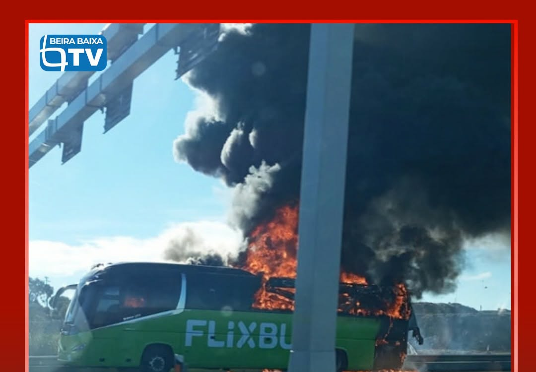 Um autocarro da FlixBus incendiou-se na Autoestrada A1, após a saída de Aveiras,