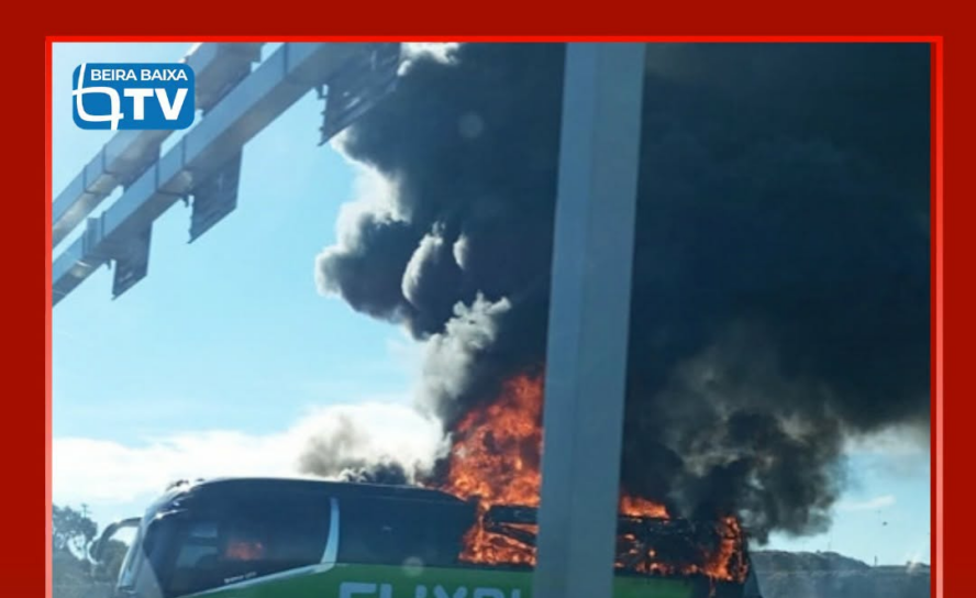 Um autocarro da FlixBus incendiou-se na Autoestrada A1, após a saída de Aveiras,