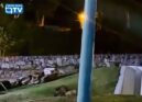 Um grupo de javalis foi avistado na noite desta sexta-feira, 16 de outubro