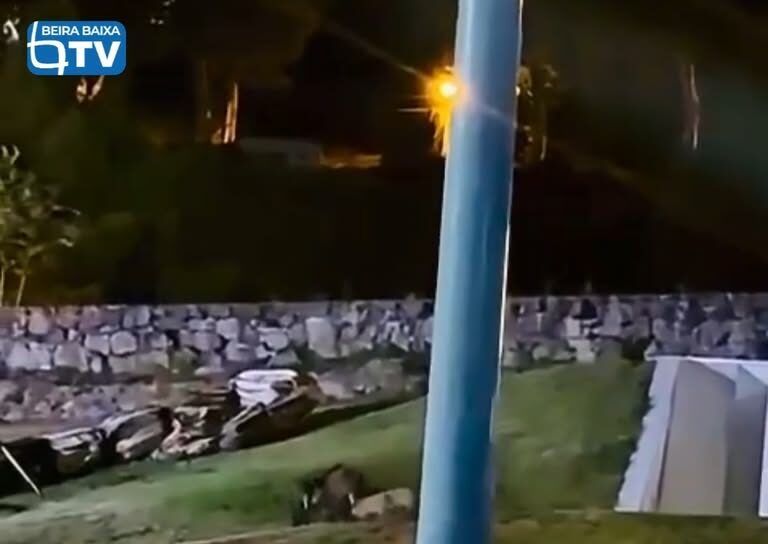 Um grupo de javalis foi avistado na noite desta sexta-feira, 16 de outubro