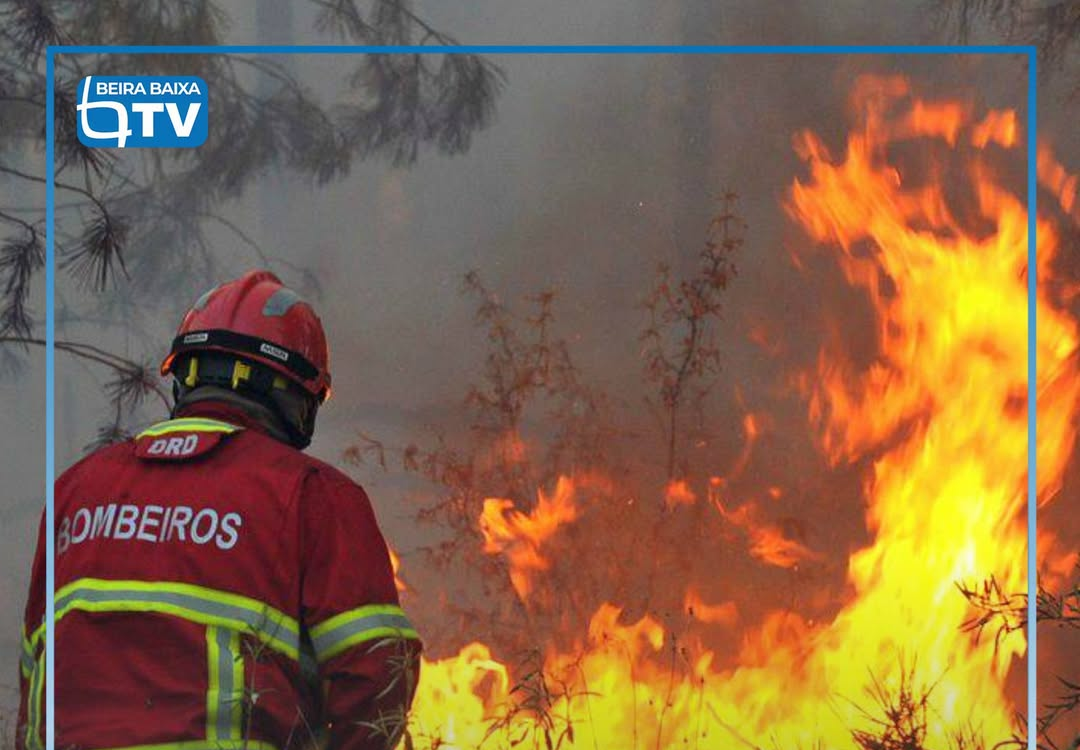 Um projeto-piloto que aposta em sensores de vigilância e drones com recurso a in