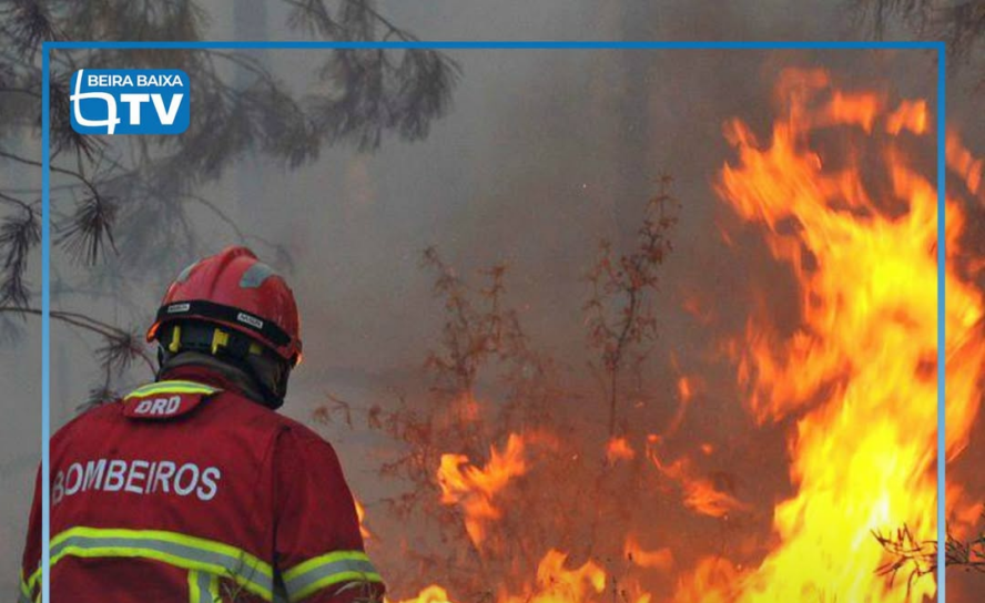 Um projeto-piloto que aposta em sensores de vigilância e drones com recurso a in